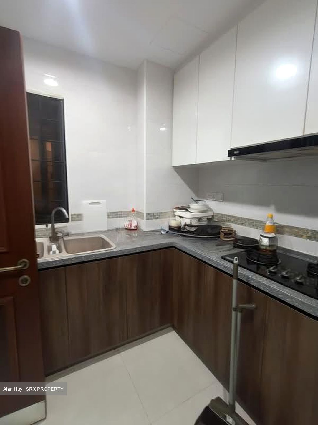 Dover Parkview (D5), Condominium #550377741